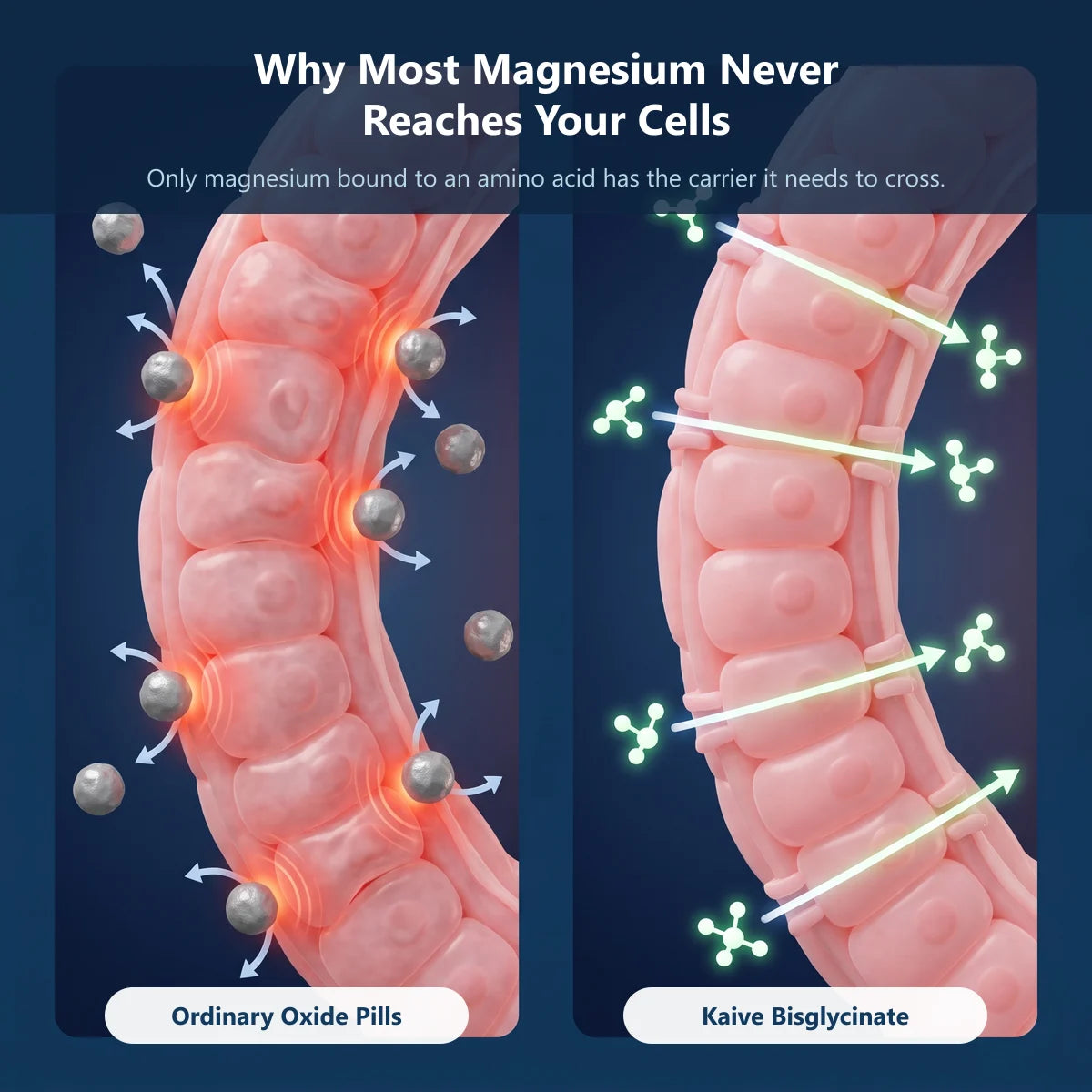 Kaive Magnesium Bisglycinate Gummies image 7
